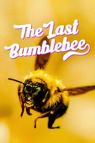 Watch The Last Bumblebee